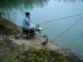 Poisson Rouge