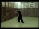 Chen Style Taijiquan Erlu