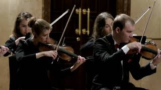 Оркестр La Primavera, М. Дробинский/А. Гольдштейн Рапсодия на тему Альбинони