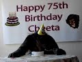 Guests sing Happy Birthday at Cheeta\