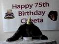 Guests sing Happy Birthday at Cheeta's 75