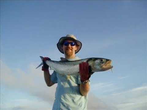 Hervey Bay Sportfishing Gallery