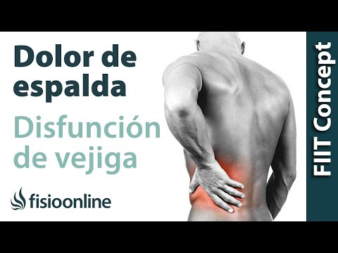 vejiga caida - Visita http://fisioterapia-online.com - Todo sobre fisioterapia En este vídeo hablamos sobre las patologias y procesos musculares y articulares que tienen co...