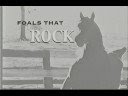 Websters Arabians: beyond bey
