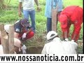 policia de ouro preto ro desvenda desaparecimento de menina