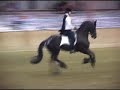 NE Friesian Horse Club - July 30, 2005 Fantasy Freestyle NE Friesian Horse Club - July 30, 2005 Fantasy Freestyle