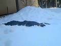 Funny Snow Day