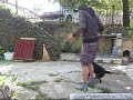 Tutush, Jagdterier, S.Rakovski