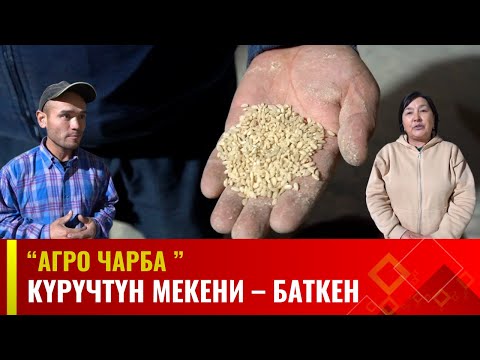 Күрүчтүн мекени  –  Баткен