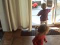 videos de Spelen