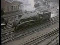 Mallard in 1963