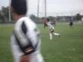 Hmong-Florida-new-ye
