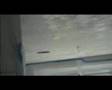 videos de EXTREME PLASTERING