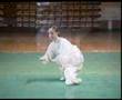 Wushu