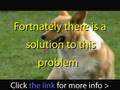 videos de FIND OUT THE TRUTH ABOUT DOG FOOD THE TRUH WILL SHOCK YOU!