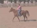 Gaited Horses, Naturally!