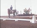Khataba+ USDF Champion Arabian/Trakehner dressage stallion