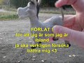 till min bästavän alexandra ahlström till min bästavän alexandra ahlström