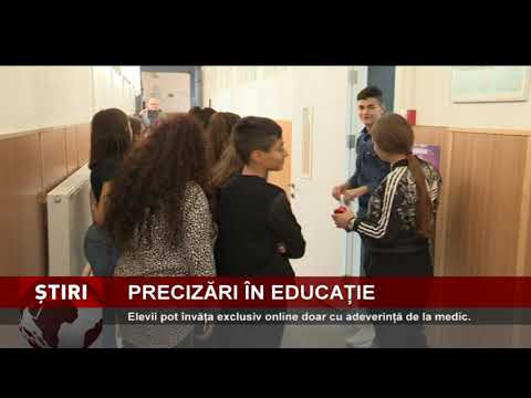 Monica Anisie precizează în ce condiții pot urma elevii școala exclusiv online