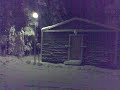 Fin Raquetas Lapland