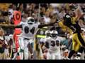 troy polamalu