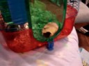 chace and the amazing adventures of secrect agent Jude