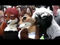 Anthrocon 2008 - Three Vixens and a Con