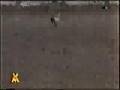 Deportes en el Recuerdo - Pablo y Pachu hnos. gauchoni