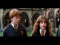 Ron and Hermione