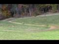 Skyview Harescramble A.O.T.