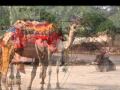 Jaipur Swing by Bzik