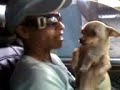 PRRA KNTANDO PRRA KNTANDO