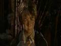 videos de Harry Potter and the Deathly Hallows