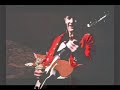 The Damned White Rabbit