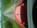 wet silage