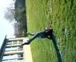 just one last dance - sarah connor - isi 