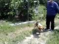 tripolina e spank in giro per l'orto a fare danno