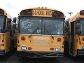 1999 BlueBird TC-2000 RE from front 1999 BlueBird TC-2000 RE from front
