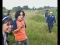 Curas y nopales