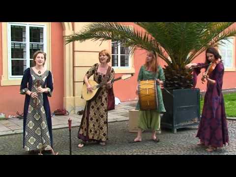 video image
