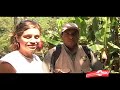 Agroforesteria,reforestación y proyecto apicola, Oxapampa II