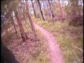 Death Adder (Old Vietnam) - Gap Creek Reserve Death Adder (Old Vietnam) - Gap Creek Reserve