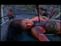 Amazons - Now We Are Free - To Helicon and Back Amazons - Now We Are Free - To Helicon and Back