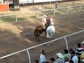 Click here to watch this video carreras parejeras