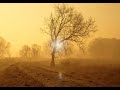 Nature Is Wonderful - Le mille Luci della Natura