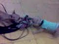 Pelea por la bola