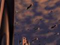 Rebel invasion on Coruscant