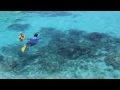 Princess Sophia Snorkeling @ Tahiti, Moorea ...