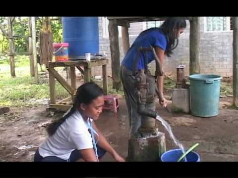 how to provide holistic education