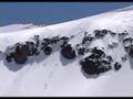 shreding red lakes